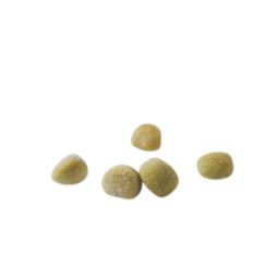 Gnocchetti Peas