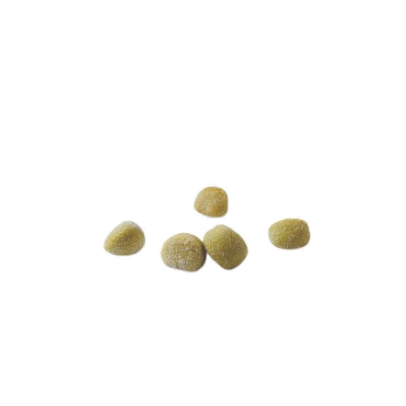Gnocchetti Peas