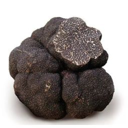 Truffle Breakings