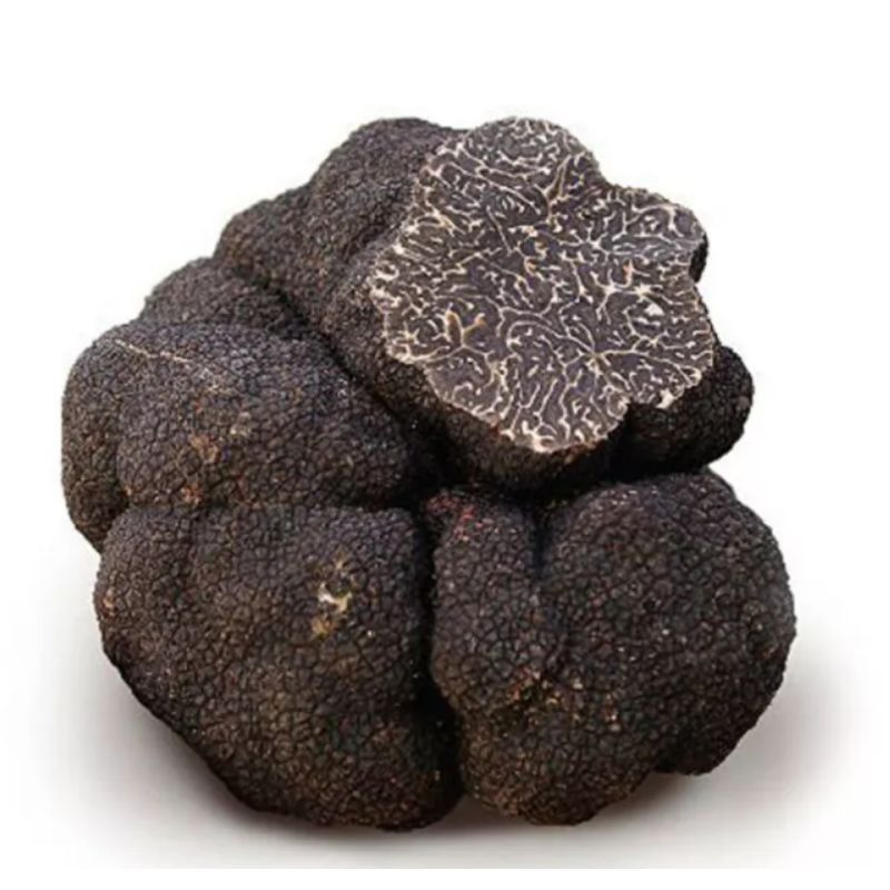 Truffle Breakings