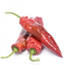 Sweet Pepper Palermo