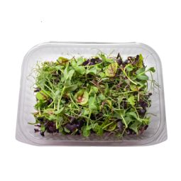 Salad Rainbow Mix