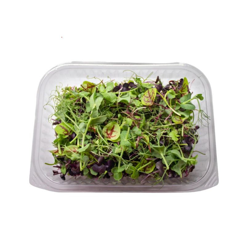 Salad Rainbow Mix
