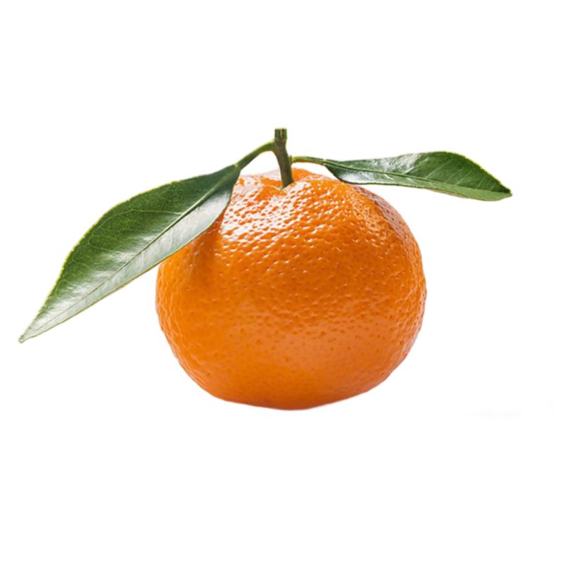 Clementines With Leaf