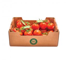 Cherry Tomatoes Vine