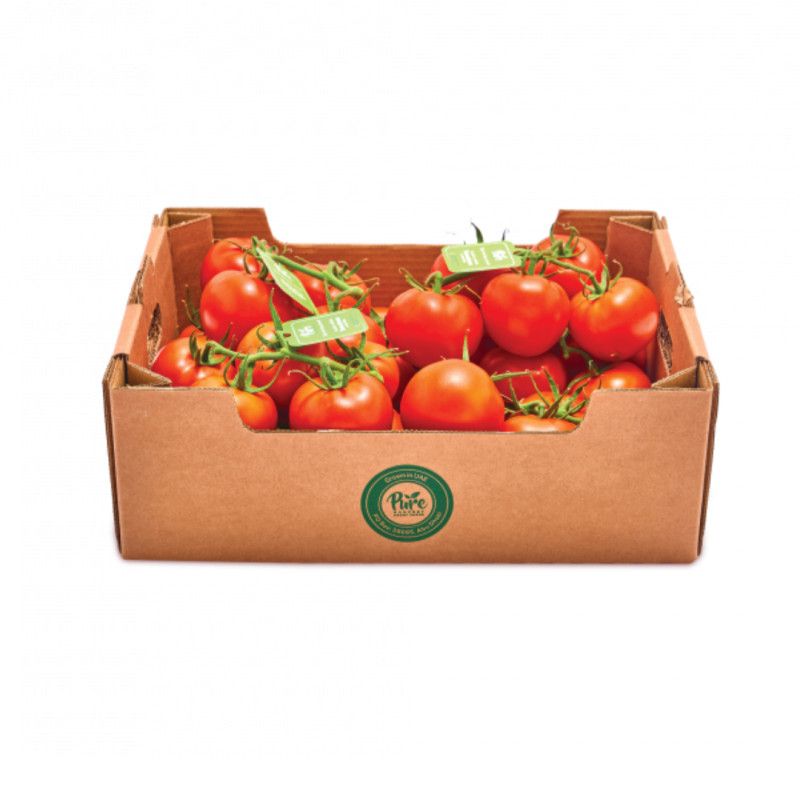 Cherry Tomatoes Vine