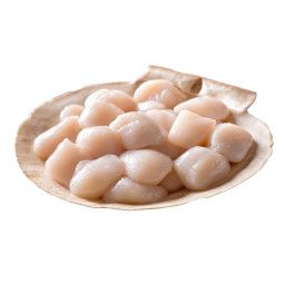Scallops Meat