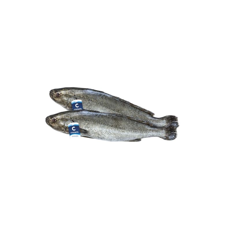 Meager Fish