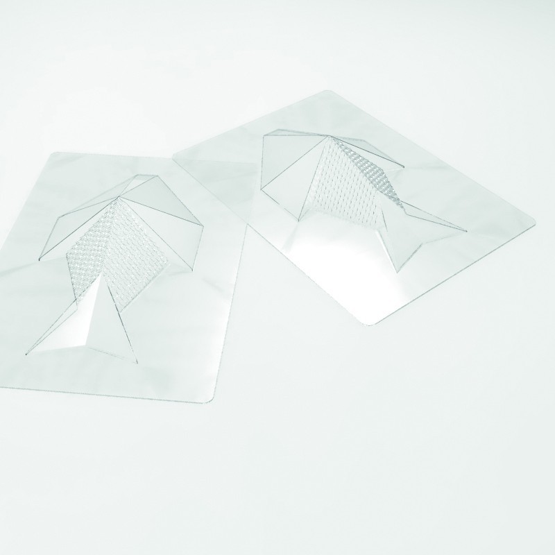 Moulds “Poisson Feuille“